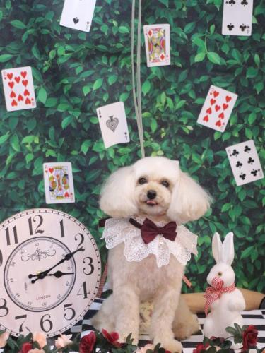 20250411リコちゃん